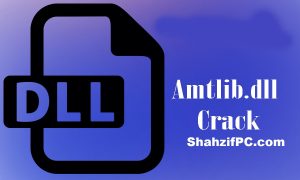 Amtlib DLL Crack