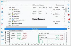 NetBalancer 12.1.1.3556 download