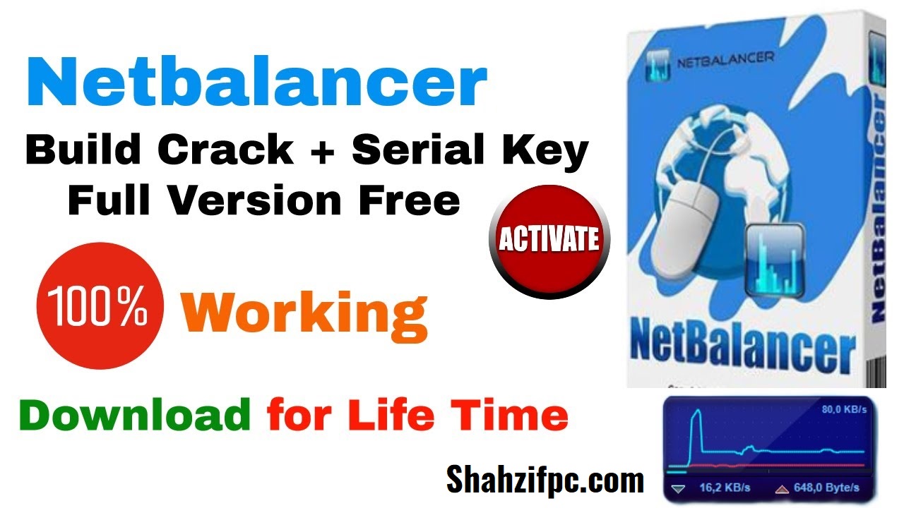 download the new NetBalancer 12.1.1.3556