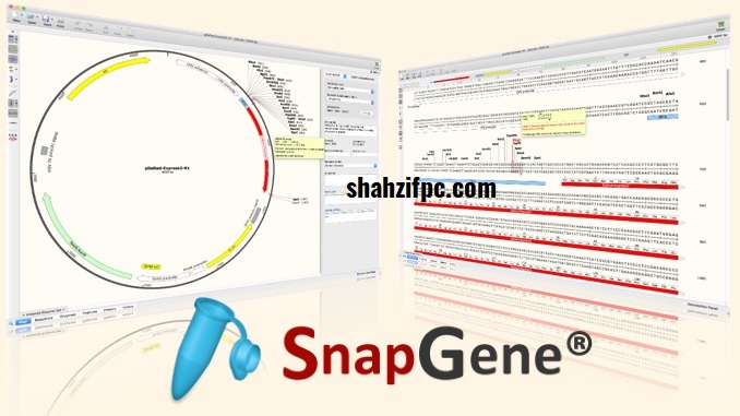 SnapGene Crack