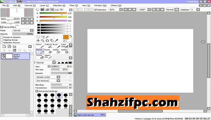 Paint Tool SAI License Key